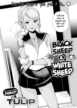 Black Sheep White Sheep